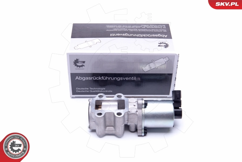 EGR Valve